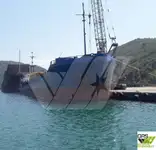 Olopobobo ti ngbe fun tita