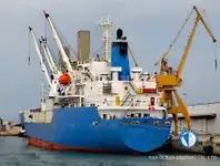 Reefer ọkọ fun tita