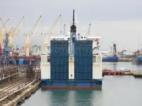 Olopobobo ti ngbe fun tita