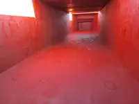 Olopobobo ti ngbe fun tita