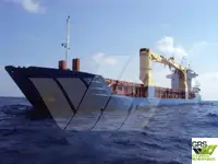 Olopobobo ti ngbe fun tita