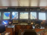 Olopobobo ti ngbe fun tita