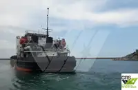 Olopobobo ti ngbe fun tita