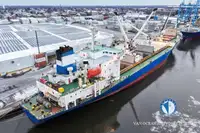Reefer ọkọ fun tita