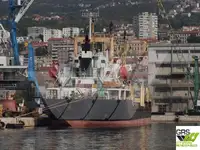 Olopobobo ti ngbe fun tita