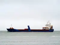 Olopobobo ti ngbe fun tita