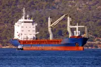 Olopobobo ti ngbe fun tita