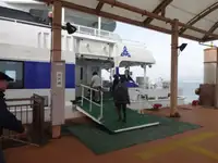 Catamaran fun tita