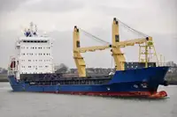 Olopobobo ti ngbe fun tita