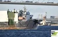 Olopobobo ti ngbe fun tita