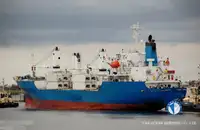 Reefer ọkọ fun tita
