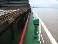 Olopobobo ti ngbe fun tita