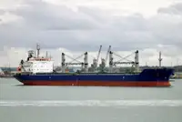 Olopobobo ti ngbe fun tita