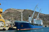 Olopobobo ti ngbe fun tita