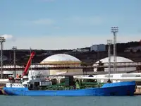 Olopobobo ti ngbe fun tita