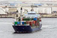 Olopobobo ti ngbe fun tita