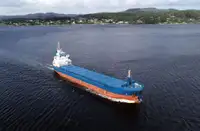 Olopobobo ti ngbe fun tita