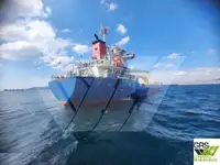 Olopobobo ti ngbe fun tita