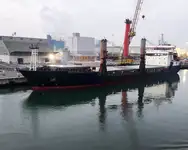 Olopobobo ti ngbe fun tita