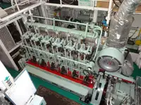 Olopobobo ti ngbe fun tita