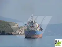 Olopobobo ti ngbe fun tita