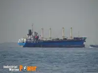 Olopobobo ti ngbe fun tita