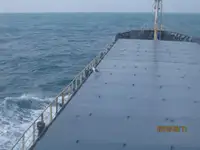 Olopobobo ti ngbe fun tita