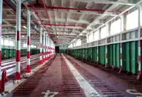 Ọkọ RORO fun tita