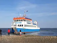 Ọkọ ọkọ ayọkẹlẹ fun tita