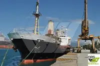 Olopobobo ti ngbe fun tita